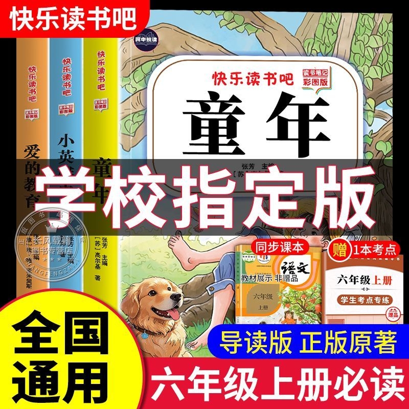 全套3册童年爱的教育和小英雄雨来六年级上册必读的课外书籍鲁滨逊漂