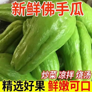 云南佛手瓜新鲜福寿瓜现摘农家佛瓜尖扶手瓜洋瓜蔬菜洋丝瓜四季样