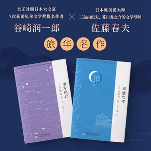 正版 南方纪行中国游记系列20世纪20年代激荡传奇捕捉时代发展轨迹再现昔日南国珍贵印迹散文随笔集中国南方市井生活书籍 秦淮之夜