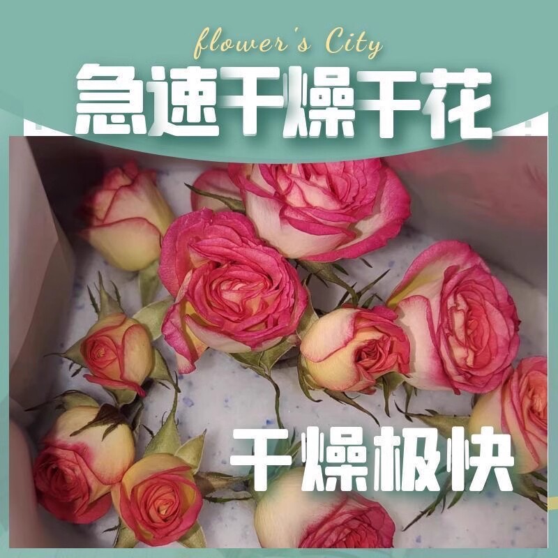 鲜花干燥剂大包永生花制作DIY标本长久玫瑰可微波循环使用