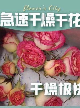 严鼎鲜花干燥剂可重复使用