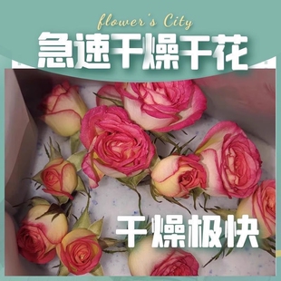 鲜花干燥剂大包永生花制作DIY标本长久玫瑰可微波循环使用