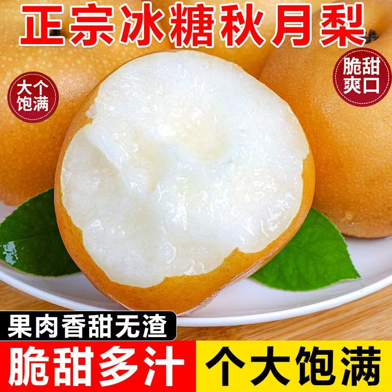 乔姑娘莱阳秋月梨只卖真秋月