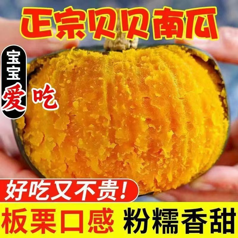 贝贝粉糯香甜南瓜|超1000次加购