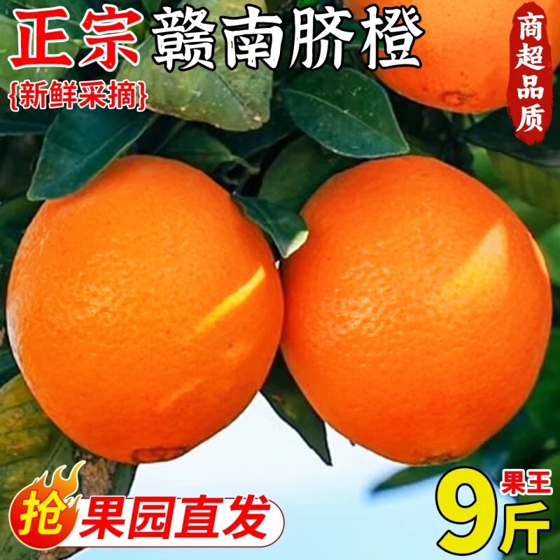 正宗赣南脐橙当季新鲜橙子应季甜橙多汁薄皮大果寻乌脐橙果园年货