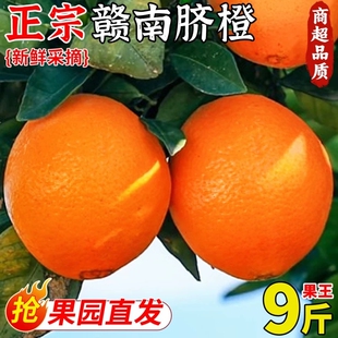 正宗赣南脐橙当季新鲜橙子应季甜橙多汁薄皮大果寻乌脐橙果园年货