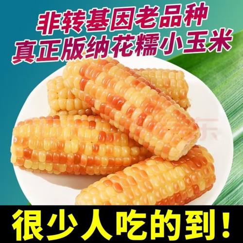 云南西双版纳小花糯玉米新鲜真空包装低脂小玉米香甜玉米即食代餐