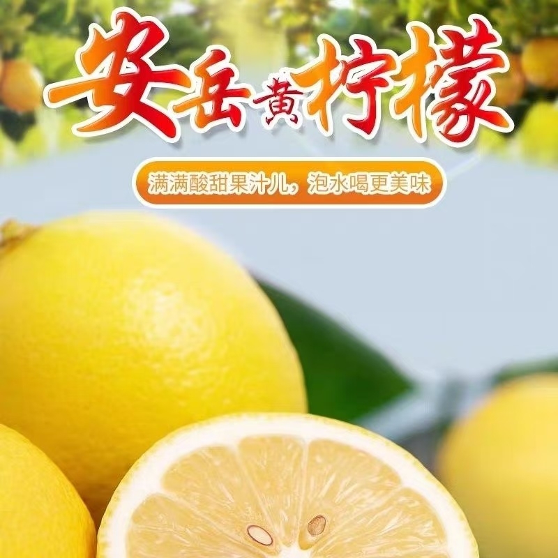四川安岳黄柠檬鲜果当季新鲜水果皮薄好果泡水小柠檬包邮无籽现摘
