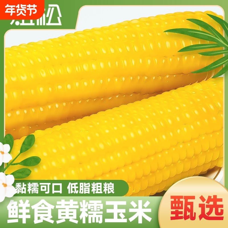 东北黄糯玉米棒真空装软糯香甜现摘新鲜黏玉米粗粮代餐10棒当季