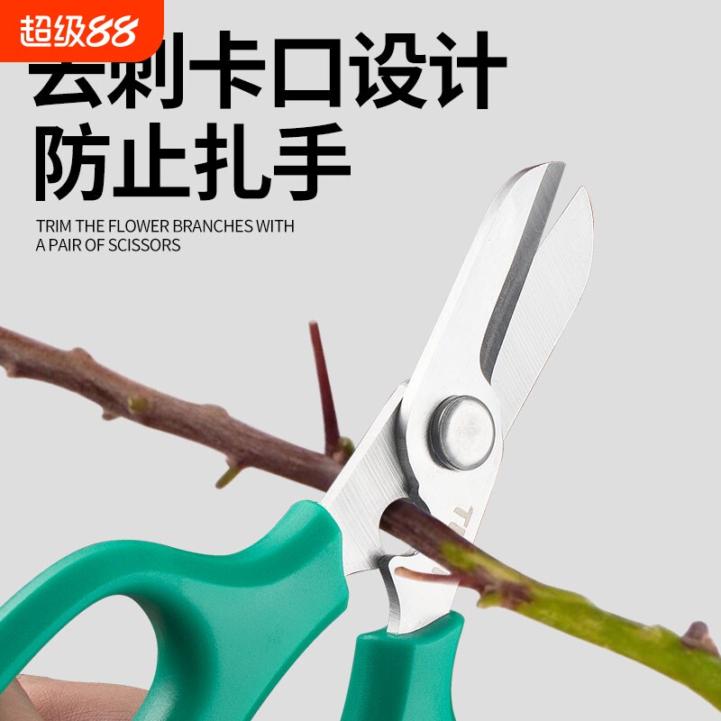 花剪园艺修枝剪花店玫瑰打刺剪子图片
