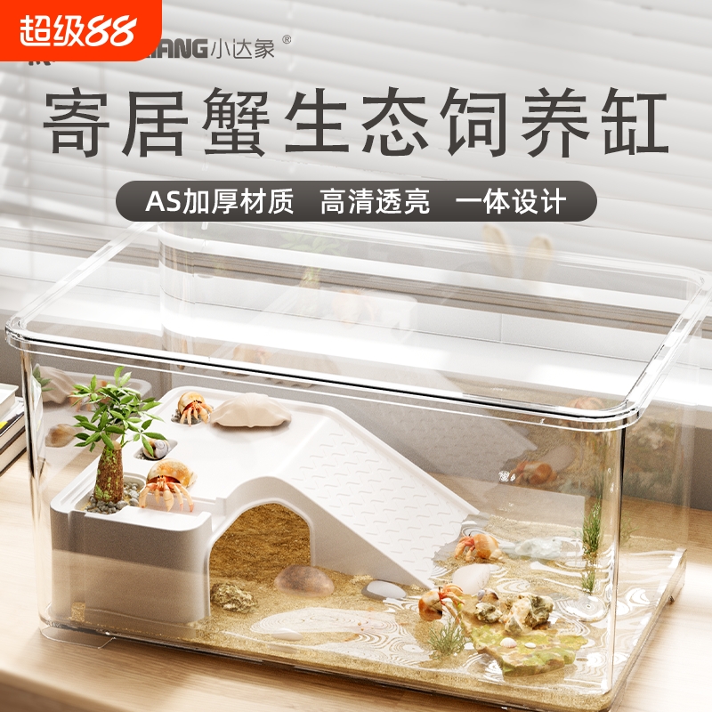 高透裸缸寄居蟹套装|万人加购
