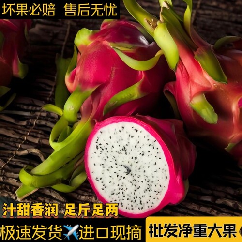 精选越南进口白心火龙果当季热带水果白肉火龙果整箱包邮儿童