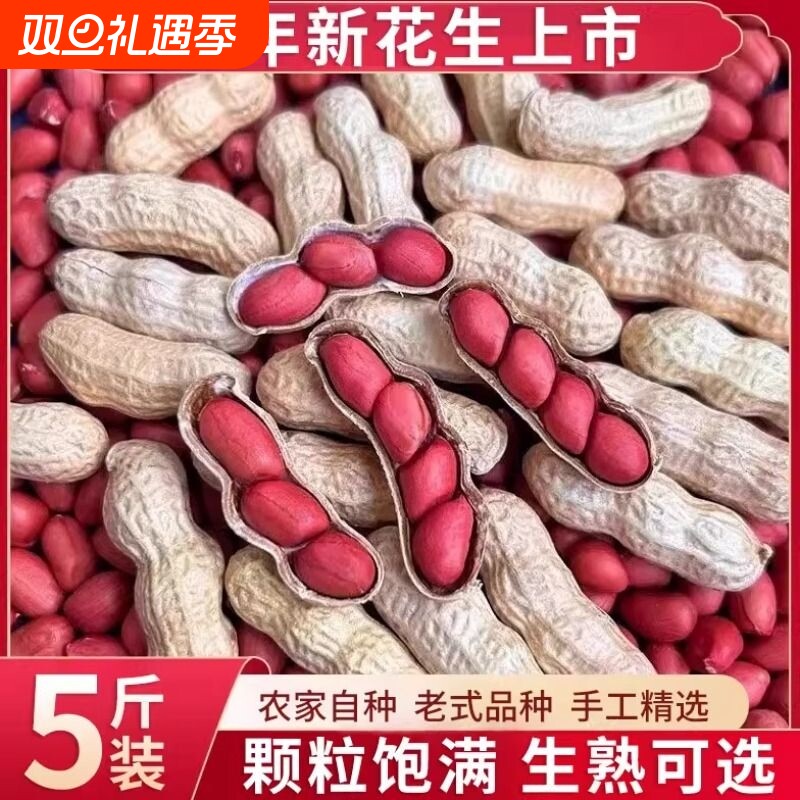 东北红皮花生2025年农家新货不带壳新鲜晒干四粒红花生米生熟自种