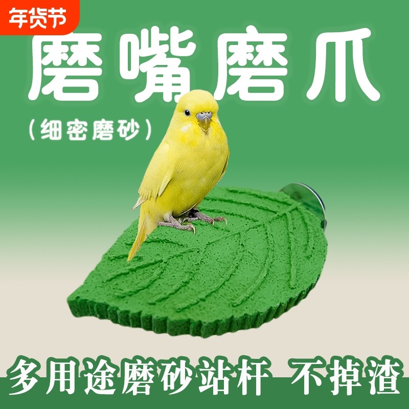 新款鹦鹉树枝磨砂站杆不掉渣玄凤虎皮磨爪棒小鸟站棍站架鸟笼配件,宠物/宠物食品及用品,鸟禽其他,淘宝优惠券,粉丝福利购,淘宝优惠卷