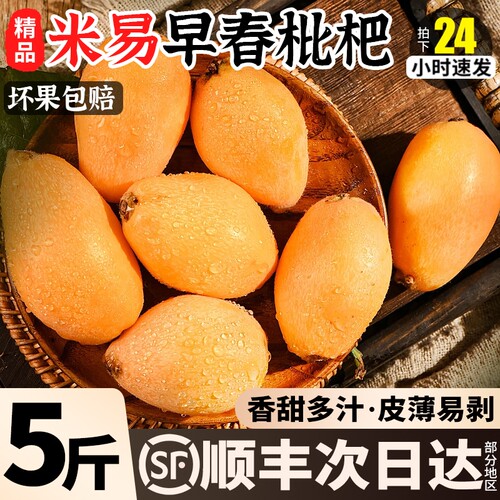 当季枇杷新鲜采摘新货饱满枇杷当季新鲜水果超甜多汁整箱顺丰包邮