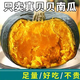 贝贝南瓜正宗板栗味小南瓜新鲜老南瓜粉婴儿惠和一号贝贝瓜