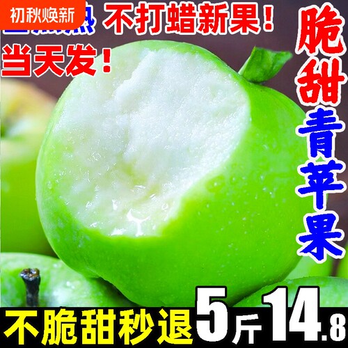 现摘现发青苹果整箱14.8