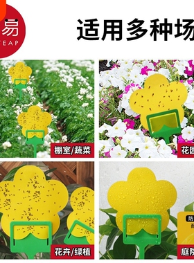 粘虫板B1pf0-小黄板双面小飞虫诱虫沾虫纸果蝇诱捕器蚊子蓟马庭院