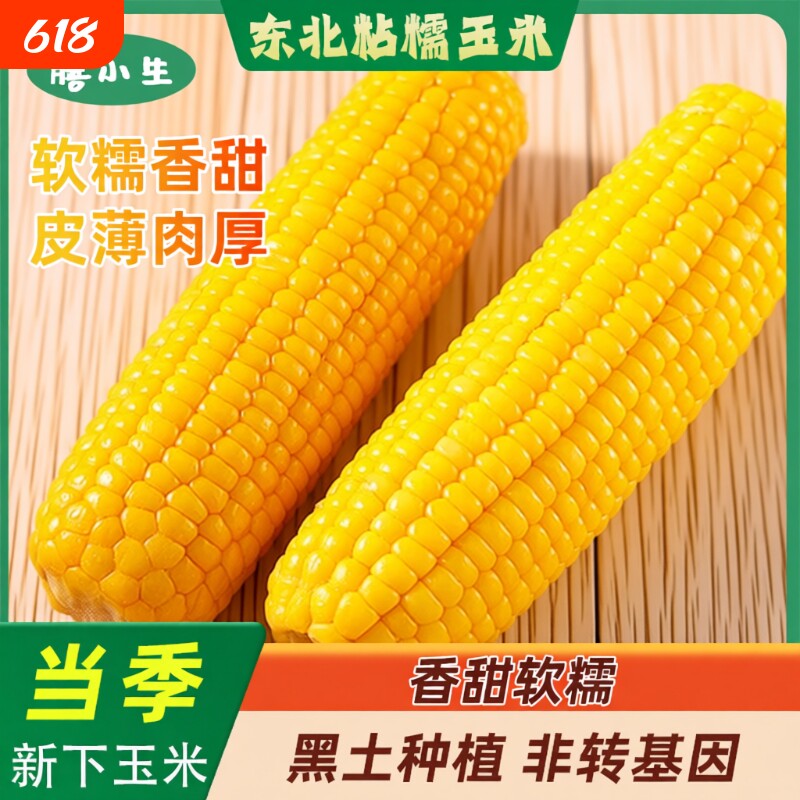黄糯玉米棒现摘东北黄真新鲜甜玉米粒粘香甜包邮粗粮年货真空当季