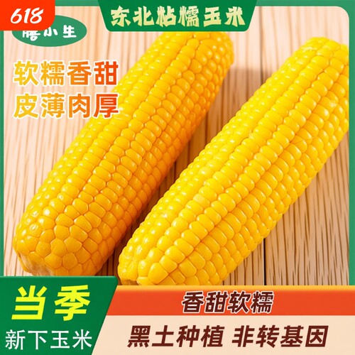 黄糯玉米棒现摘东北黄真新鲜甜玉米粒粘香甜包邮粗粮年货真空当季