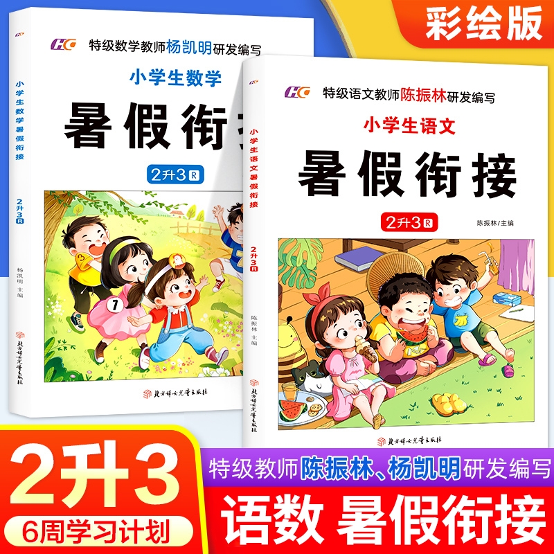 小学生二年级升三年级语文数学暑假衔接人教版下册暑假作业期末归纳复习课前预习资料6周学习计划表2升3RJ