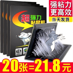 20张老鼠粘强力粘鼠板抓大老鼠贴夹扑捉灭鼠胶沾正品 家用捕鼠神器
