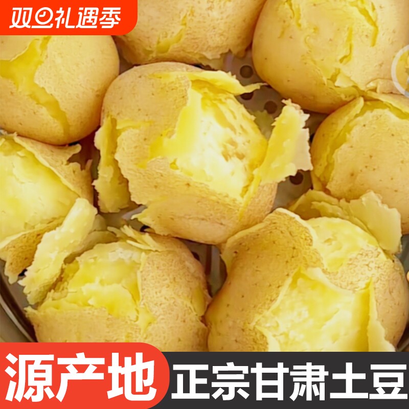 正宗甘肃定西沙面土豆黄心马铃薯蔬菜洋芋旱沙地种植新鲜现挖9斤