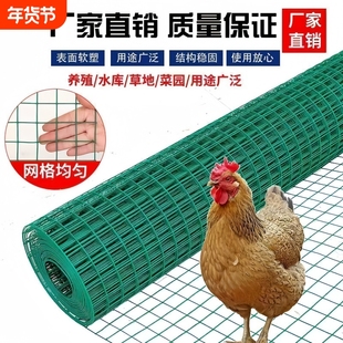 绿色浸塑电焊网小孔防鼠包塑铁丝网养鸡养殖防锈硬塑围栏网格菜园
