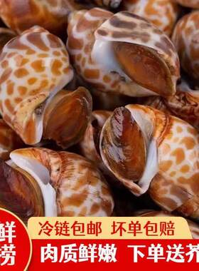 花螺新鲜冷冻海螺东风螺小香螺捞汁海鲜生鲜水产商用批发麻辣芥末