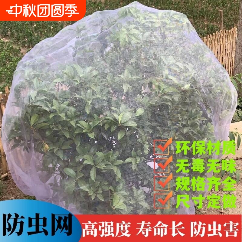 透明白纱网套罩防鸟防虫网罩果树蔬园艺防冰雹病虫害蚊虫果蝇针蜂图片