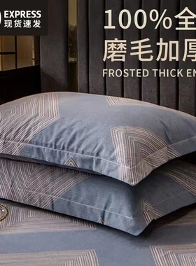 纯棉枕套48x74一对装加厚磨毛单人学生全棉单枕头套2024新款防头