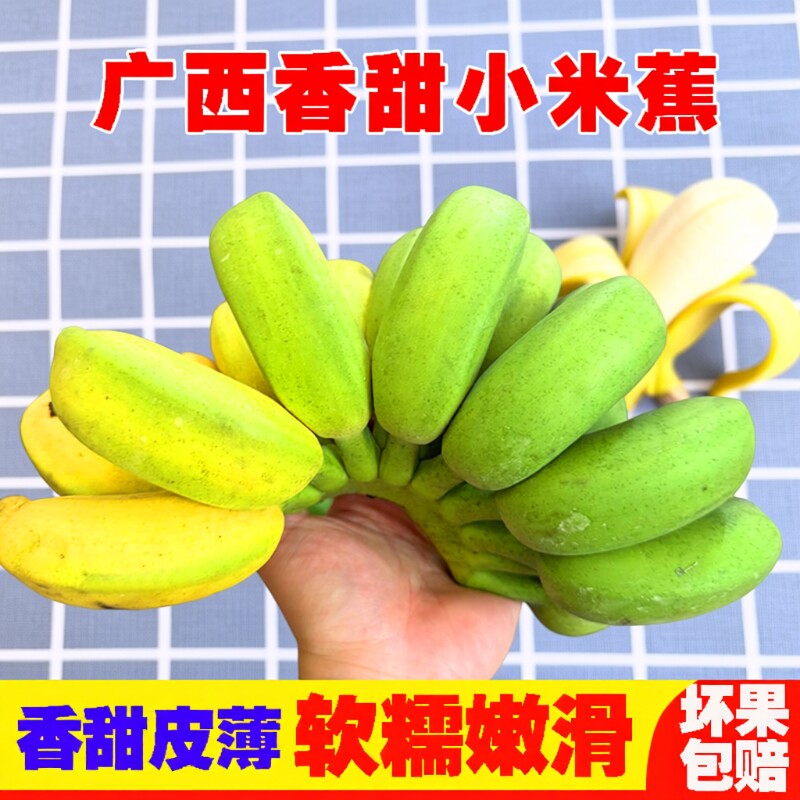福利广西正宗小米蕉新鲜甜糯香甜当季水果小香蕉皇帝蕉非芭蕉现摘