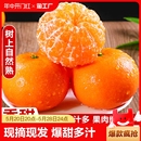 大理柑橘桔子甜现摘大果果园 云南宾川高原沃柑新鲜水果当季
