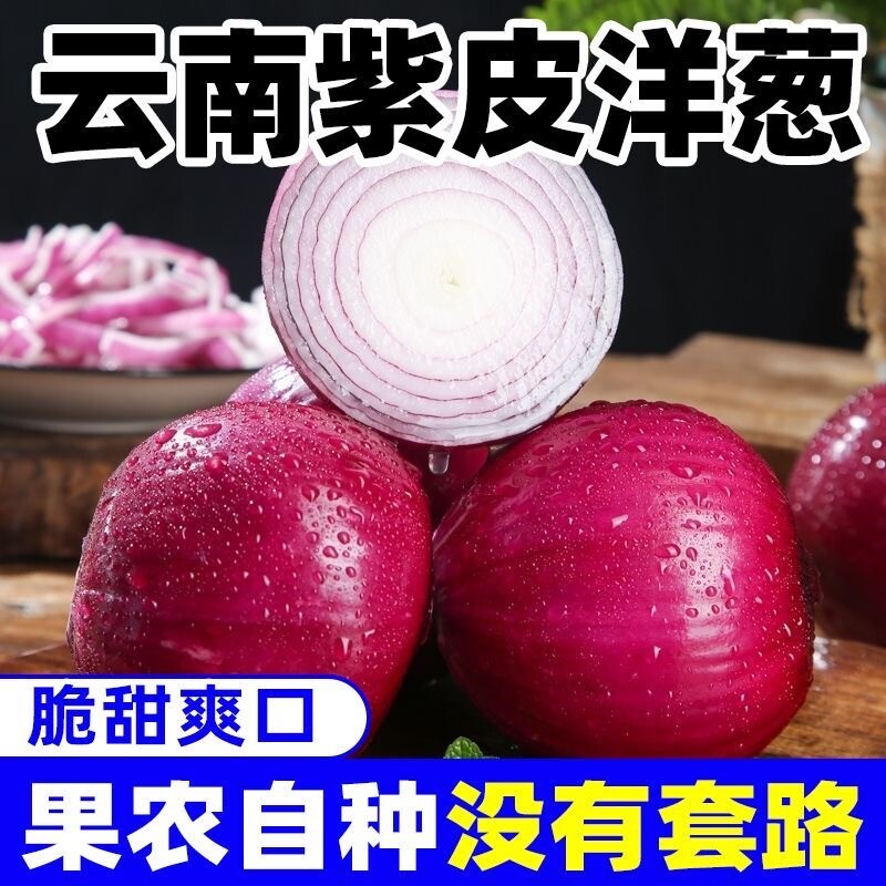 正宗农家辛辣洋葱9斤紫皮圆葱头蔬菜红皮现挖新鲜生吃脆甜包邮5