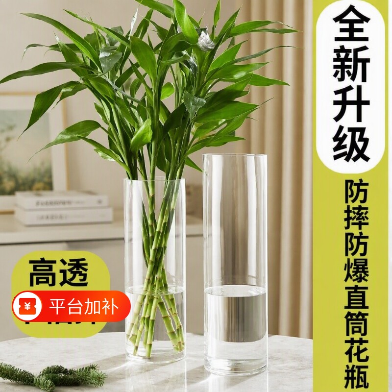 亚克力玻璃花瓶富贵竹水养水培插花透明直筒鲜花装饰客厅小落地