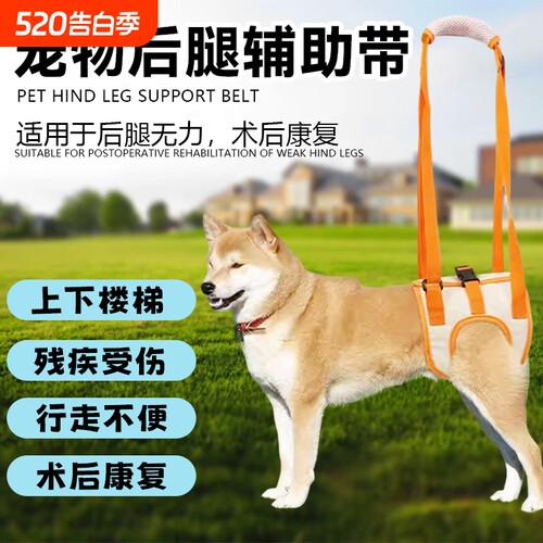 宠物狗狗后腿辅助带残疾老年犬走路上楼神器牵引绳行走楼梯上下楼