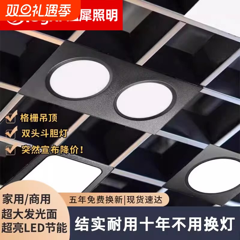 LED格栅灯嵌入式双头筒灯射灯单头斗胆灯网格吊顶灯商用吸顶灯