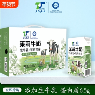包装天太乳业茉莉雪芽牛奶250ml*6盒儿童学生早餐奶混装木兰牛乳