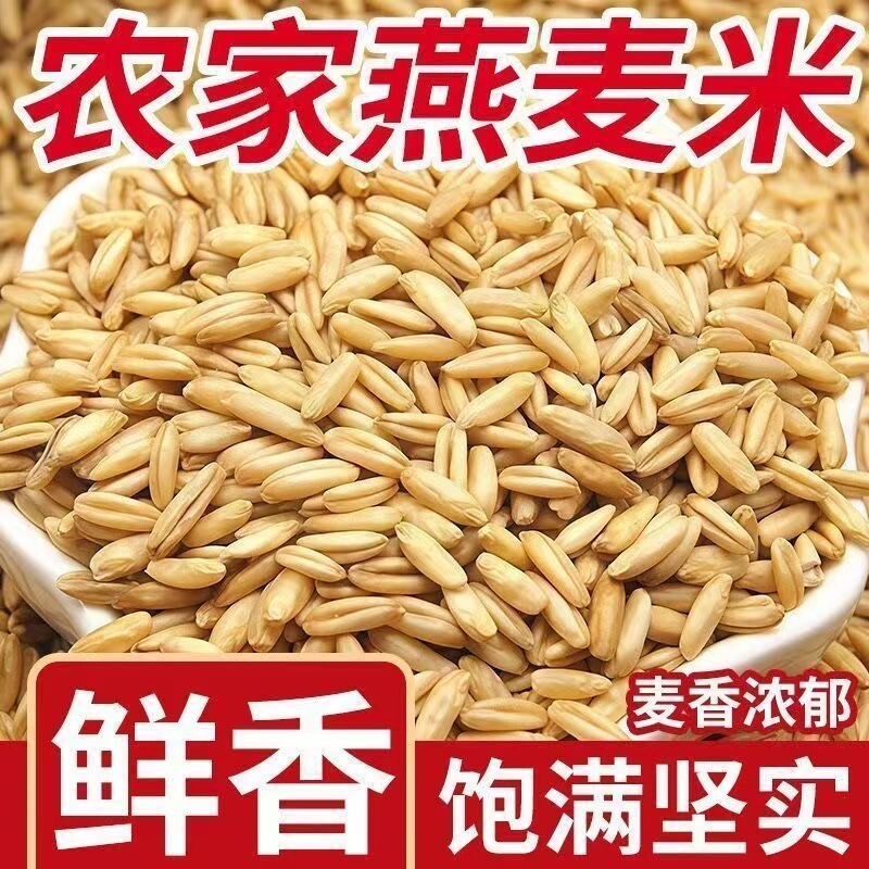 云南燕麦米当季农家自种燕麦仁全胚芽燕麦五谷杂粮粗粮批发健康图片