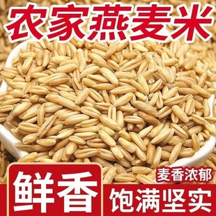 云南燕麦米当季农家自种燕麦仁全胚芽燕麦五谷杂粮粗粮批发健康