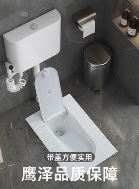 鹰泽带盖板蹲便器一体翻盖式蹲厕