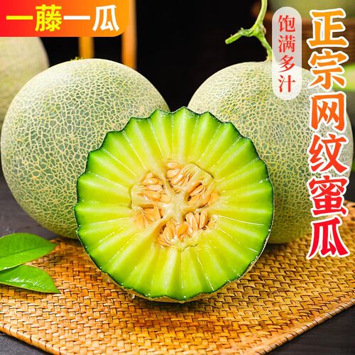 冰淇淋网纹蜜瓜新鲜水果9斤包邮