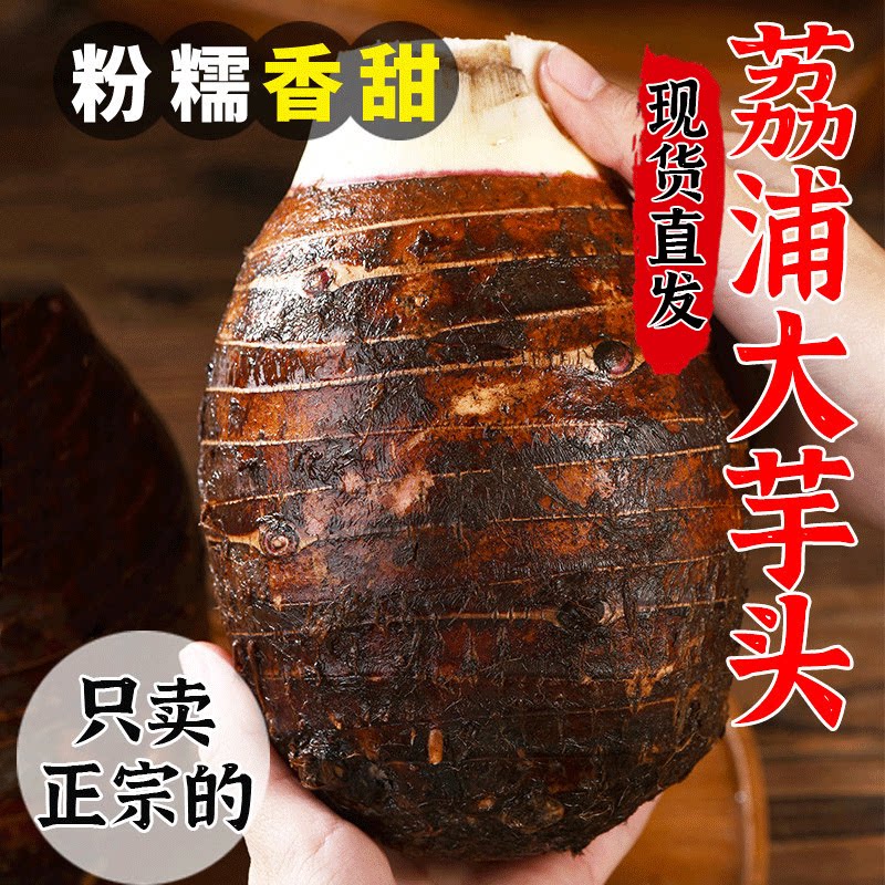 广西荔浦新鲜大芋头整箱小芋头旗舰店正宗槟榔芋现挖毛芋头