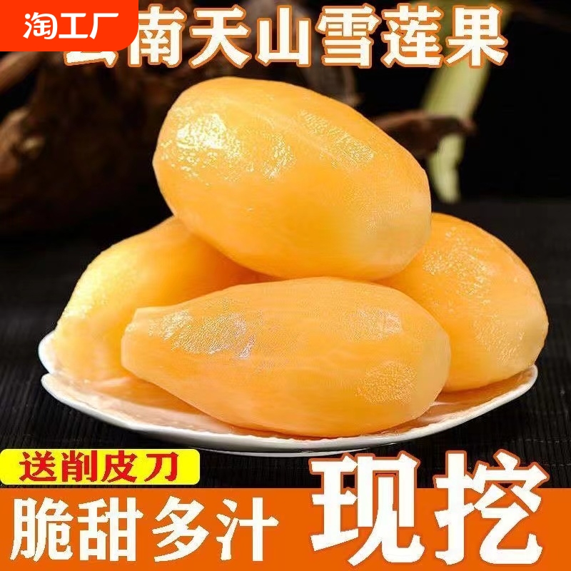 6.7亓 精品云南天山雪莲果5斤-光照充足，高品质产区，清甜多汁脆 社群免单