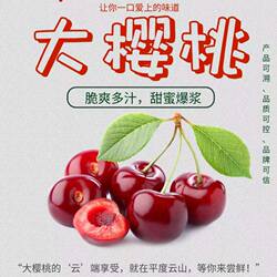 平度云山美早大樱桃现货国产车厘子新鲜水果当季樱桃顺丰黑珍珠