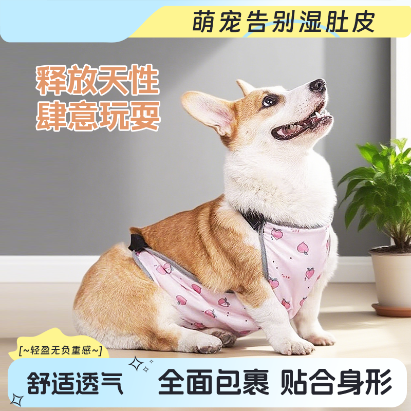 宠物狗狗防凉肚兜防水透气防脏保暖防着凉柯基衣服肚兜四季通用