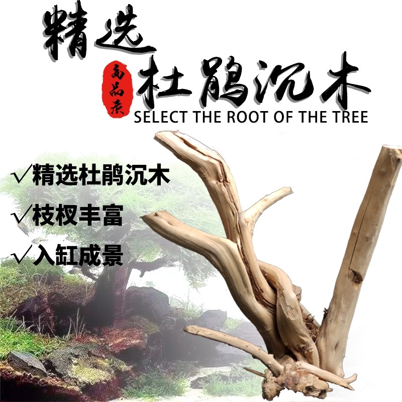 造景沉木水榕 杜鹃根莫斯真水草树根头鱼缸装饰造景树头天然栖根