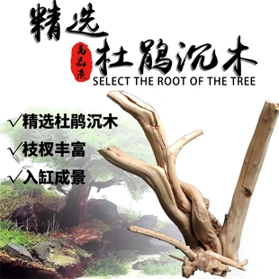 造景沉木水榕 杜鹃根莫斯真水草树根头鱼缸装饰造景树头天然栖根
