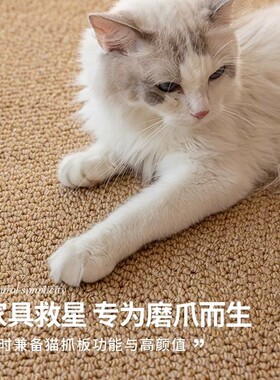 猫抓垫菠萝圈地毯客厅防剑麻猫抓板耐磨不掉屑沙发保护垫可裁剪