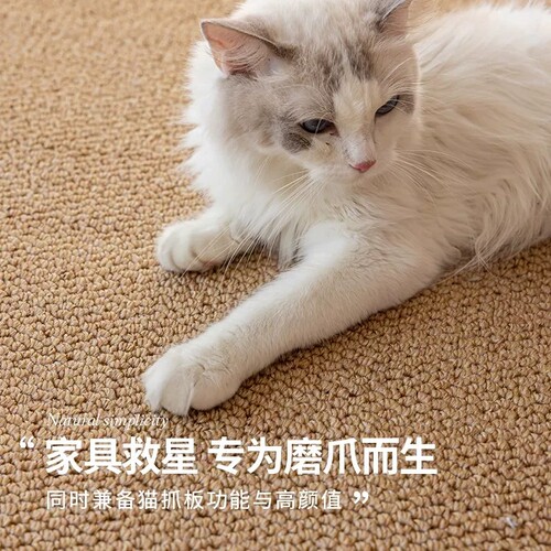 猫抓垫菠萝圈地毯客厅防剑麻猫抓板耐磨不掉屑沙发保护垫可裁剪